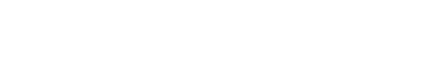 Email info@lioraelectric.com